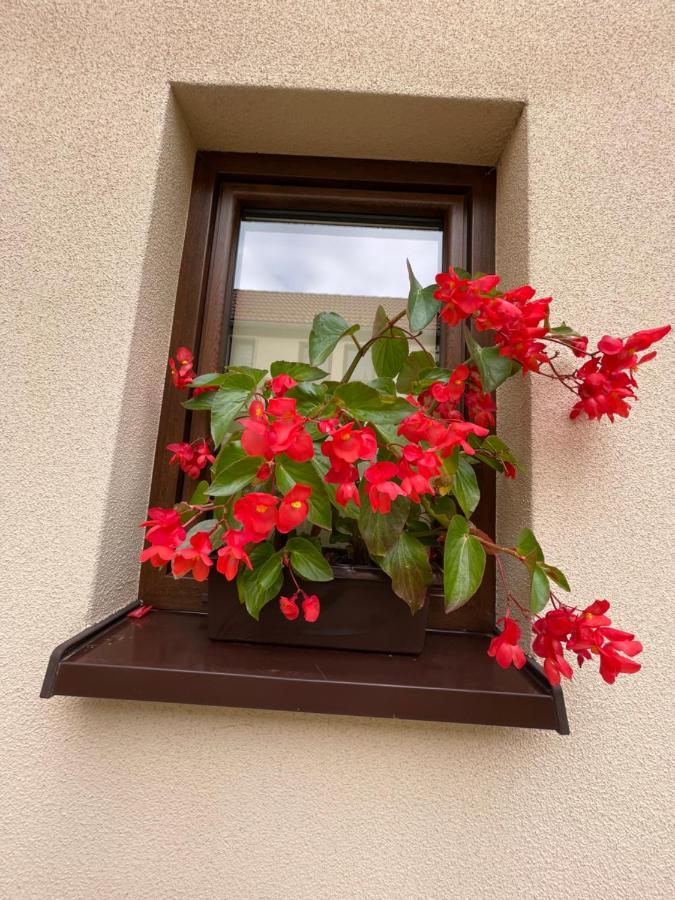 Sloneczne Apartamenty Polanica-Zdrój Eksteriør billede